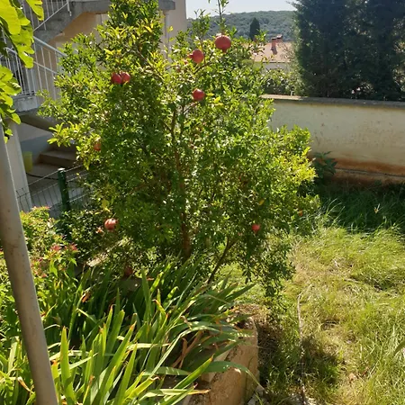 Appartement Mediterranean Chill And Grill Pula